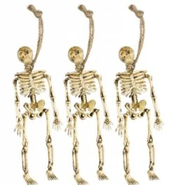3 Opgehangen Skeletten Voor Halloween
