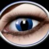Blauwe Kattenogen Contactlenzen Voor Halloween