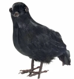 Decoratieve Kraai Als Horror Vogel Voor Halloween