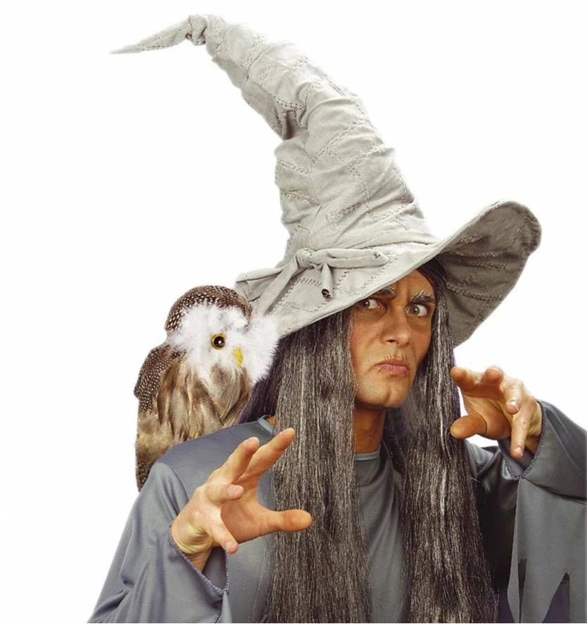 Decoratieve Wijze Uil Als Halloween Huisdier 2 Decoratieve Wijze Uil Als Halloween Huisdier - Afbeelding 2