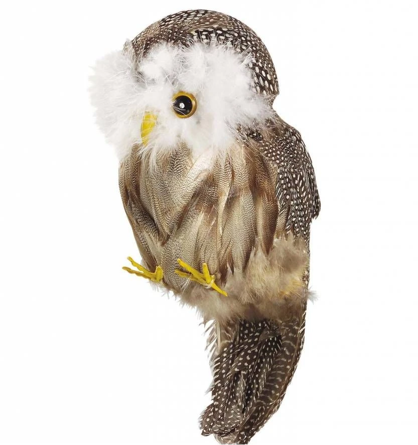 Decoratieve Wijze Uil Als Halloween Huisdier 1 Decoratieve Wijze Uil Als Halloween Huisdier