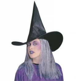 Griezel Hoed Met Grijs Haar Voor Halloween