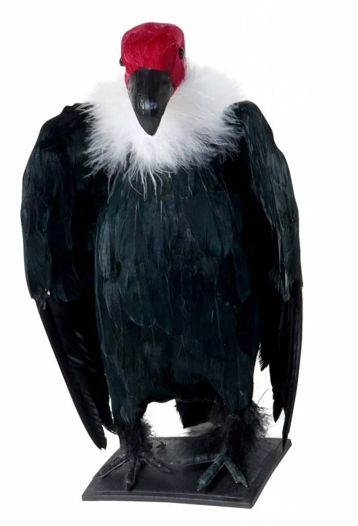 Halloweenaccessoires Aasgier 29cm 1 Halloweenaccessoires Aasgier 29cm