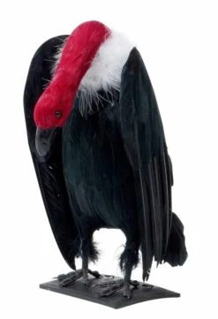 Halloweenaccessoires Aasgier Met Lange Nek 26cm