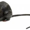 Halloweenaccessoires Enge Rat 10cm