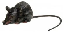 Halloweenaccessoires Enge Rat 10cm
