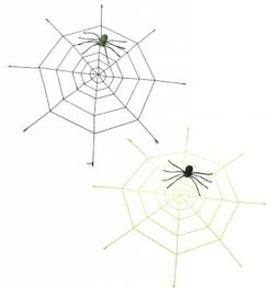 Halloweenaccessoires Gigantisch Spinneweg (220cm) Met Oplichtende Spin