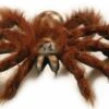 Halloweenaccessoires Jumbo Spinnen 60cm Buigbaar