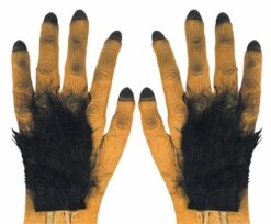 Halloweenaccessoires Paar Draculahanden Met Haar