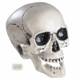 Halloweenaccessoires Schedel Met Beweegbare Kaak 25cm