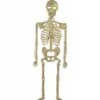 Halloweenaccessoires Skelet 32cm