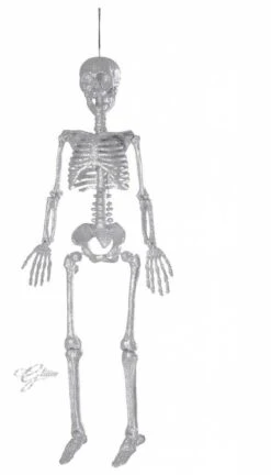 Halloweenaccessoires Skelet Zilver Glitter 92cm