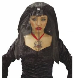 Halloweenaccessoires Sluier Met Diamanten En Spinnen