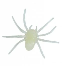 Halloweenaccessoires Spin Lichtgevend In Donker Met Zuignap