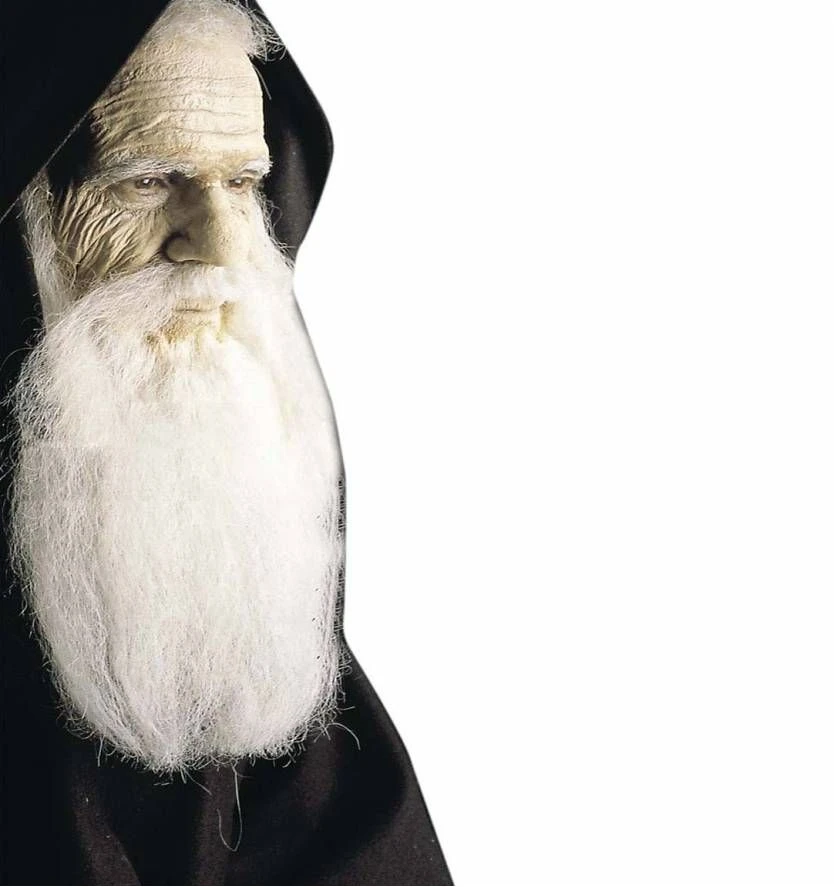 Halloweenaccessoires Tube Natuurlijk Horror Vlees 2 Halloweenaccessoires Tube Natuurlijk Horror Vlees - Afbeelding 2