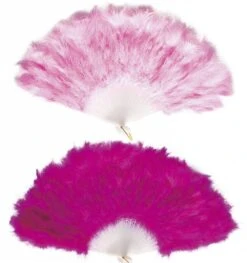 Halloweenaccessoires Veren Waaier Zwart -HalloweenkledingVerkoop halloweenaccessoires veren waaier zwart 3