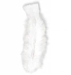 Halloweenaccessoires Zakje Met 50 Veertjes Zwart -HalloweenkledingVerkoop halloweenaccessoires zakje met 50 veertjes zwart 2