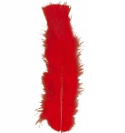 Halloweenaccessoires Zakje Met 50 Veertjes Zwart