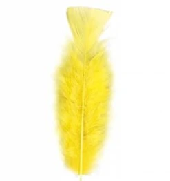 Halloweenaccessoires Zakje Met 50 Veertjes Zwart -HalloweenkledingVerkoop halloweenaccessoires zakje met 50 veertjes zwart 3