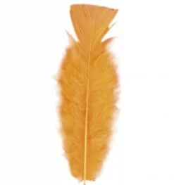 Halloweenaccessoires Zakje Met 50 Veertjes Zwart -HalloweenkledingVerkoop halloweenaccessoires zakje met 50 veertjes zwart 4