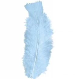 Halloweenaccessoires Zakje Met 50 Veertjes Zwart -HalloweenkledingVerkoop halloweenaccessoires zakje met 50 veertjes zwart 7