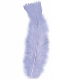 Halloweenaccessoires Zakje Met 50 Veertjes Zwart -HalloweenkledingVerkoop halloweenaccessoires zakje met 50 veertjes zwart 8