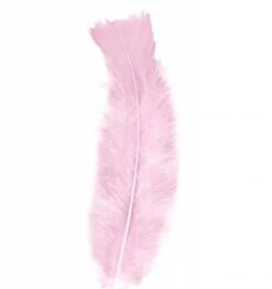 Halloweenaccessoires Zakje Met 50 Veertjes Zwart -HalloweenkledingVerkoop halloweenaccessoires zakje met 50 veertjes zwart 9