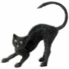 Halloweenaccessoires Zwarte Kater
