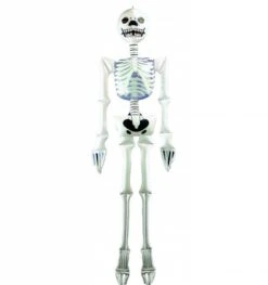 Halloweenartikelen Opblaasbaar Skelet 183cm
