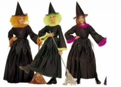 Halloweenkleding Heksje Met Verenkraag