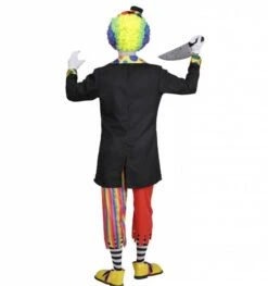 Halloweenkleding Joker Samsom -HalloweenkledingVerkoop halloweenkleding joker samsom 2