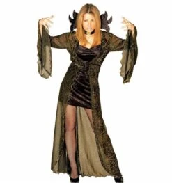 Halloweenkleding Lady Spiderella