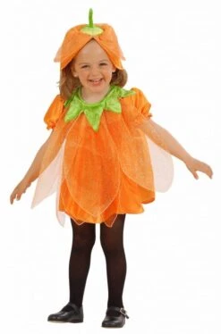 Halloweenkostuum Pompoentje