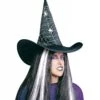 Heksenhoed, Spinnenweb Met Spinnen Voor Halloween Party's