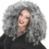 Heksenpruik Grijze Feeks Voor Halloween
