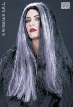 Langharige Grijs Zwarte Heksenpruik Mortisia