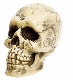 Levensgrote Nep Schedel Als Halloween Decoratie