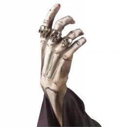 Luxe Schedelring Voor Zombies Voor Halloween 8 Luxe Schedelring Voor Zombies Voor Halloween -HalloweenkledingVerkoop luxe schedelring voor zombies voor halloween 2
