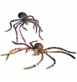 Mega Grote Buigbare Spinnen Voor Halloween