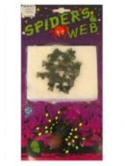 Minispinnen In Een Spinnenweb Voor Halloween