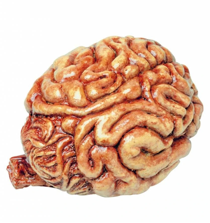 Nep Hersenen Voor Halloween 1 Nep Hersenen Voor Halloween