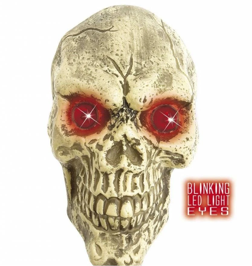 Nep Schedel 25 Cm Groot Met Licht Als Halloween Decoratie 1 Nep Schedel 25 Cm Groot Met Licht Als Halloween Decoratie