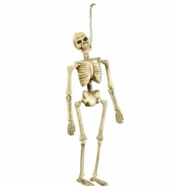 Opgehangen Skelet 40 Cm Voor Halloween