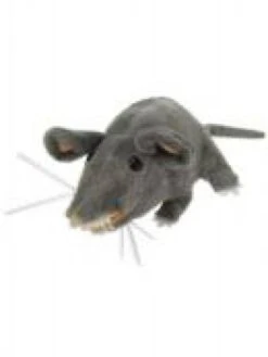 Pluche Ratten Als Halloween Ongedierte