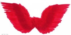 Rode Gevederde Duivels Vleugels Voor Halloween