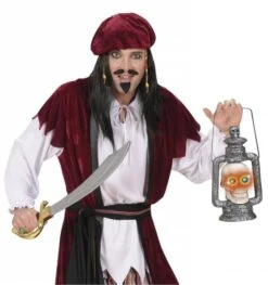 Schedellantaarn Met Licht Voor Halloween -HalloweenkledingVerkoop schedellantaarn met licht voor halloween 2