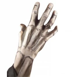 Schedelringen Voor Halloween 8 Schedelringen Voor Halloween -HalloweenkledingVerkoop schedelringen voor halloween 2