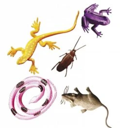 Set Van 12 Griezel Dieren Voor Halloween