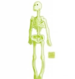 Skelet Die Licht Geven In Het Donker Voor Halloween