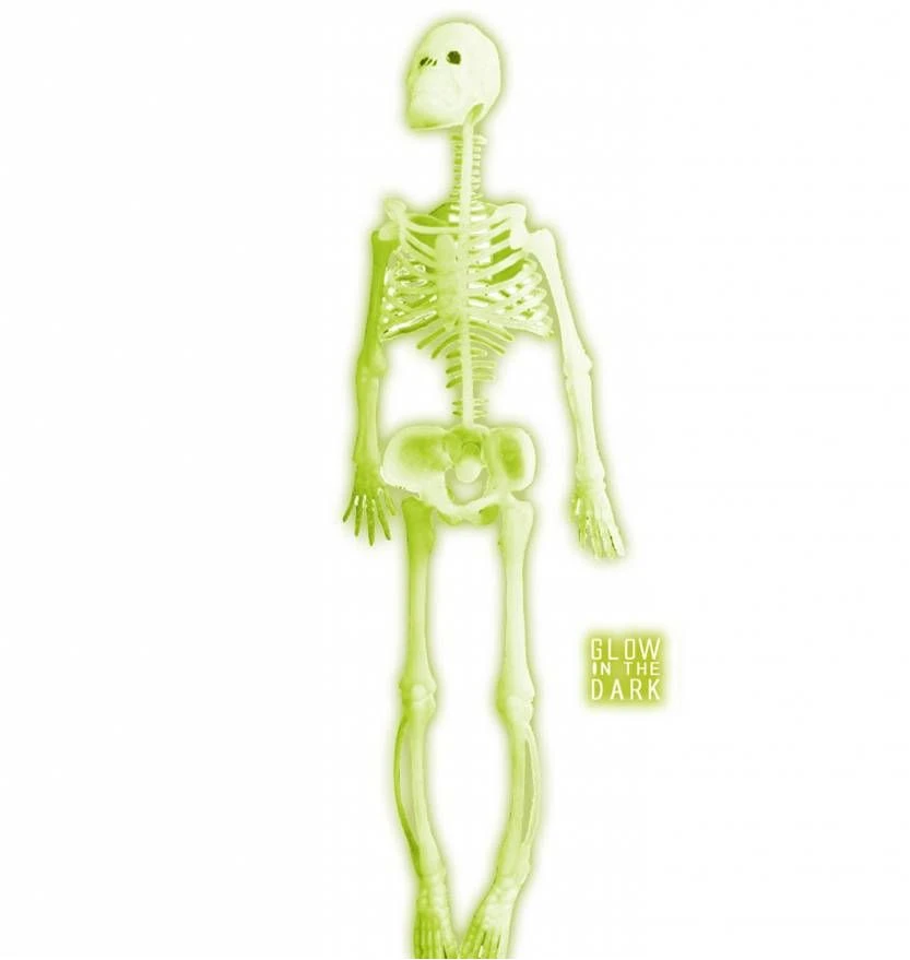 Skelet Die Licht Geven In Het Donker Voor Halloween 1 Skelet Die Licht Geven In Het Donker Voor Halloween
